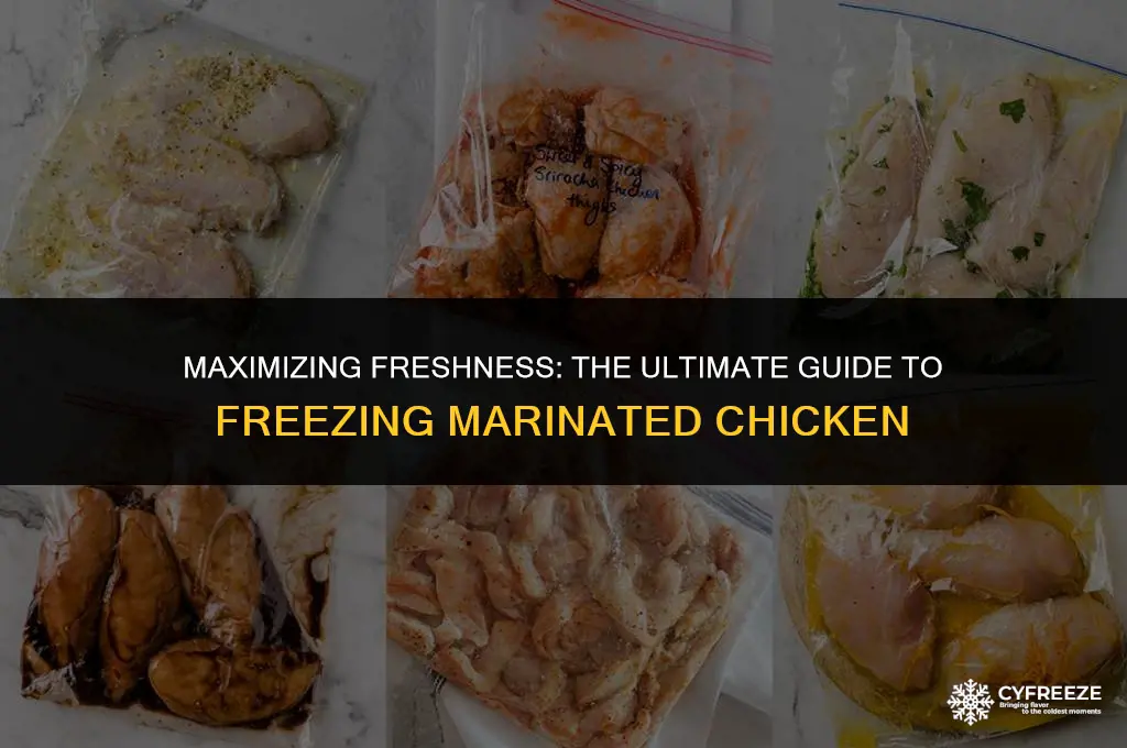 how long can i freeze marinated chicken