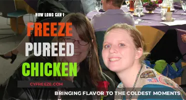 Maximizing Freshness: The Ultimate Guide to Freezing Pureed Chicken