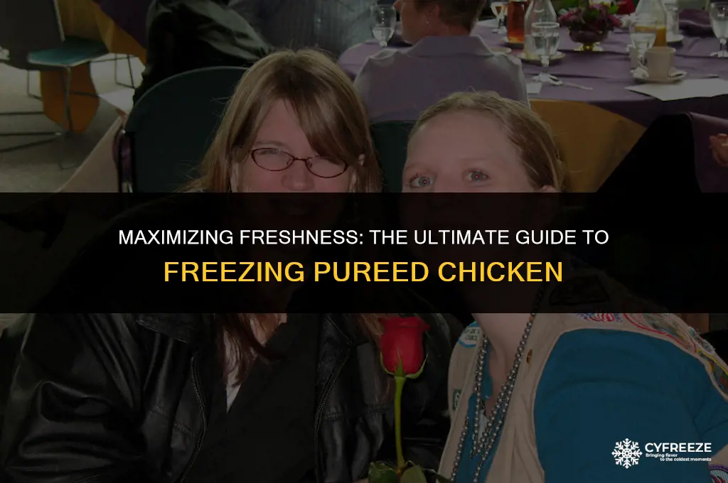 how long can i freeze pureed chicken