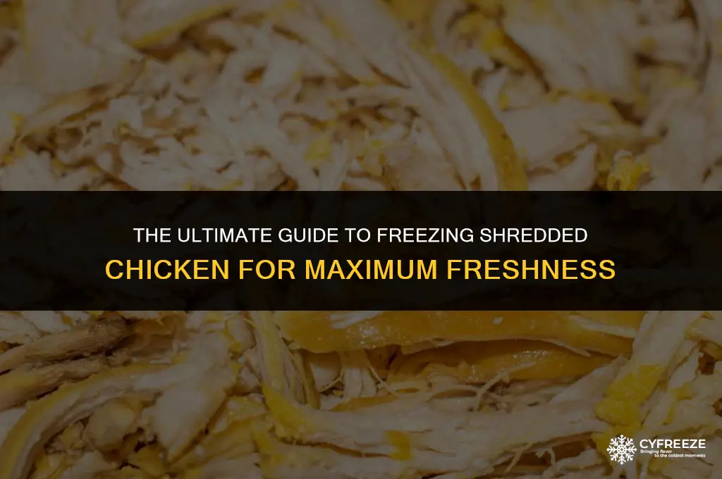 how long can i freeze shredded chicken
