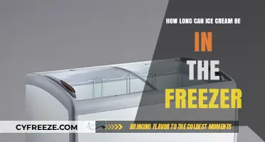 The Sweet Spot: Optimal Ice Cream Freezer Storage Time