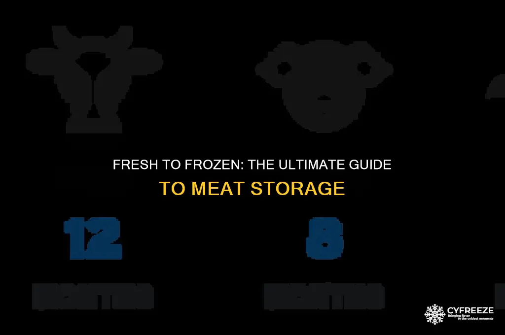 how long can meat be in fridge before freezing