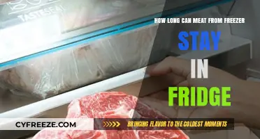 Thawing Meat Safely: Fridge Storage Duration Explained