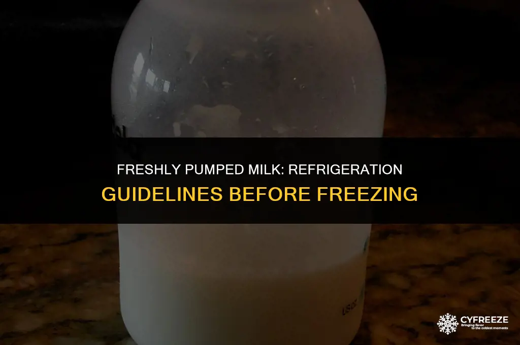 how long can pumped milk stay in fridge before freezing