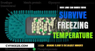 Rabies Virus Survival in Freezing Temperatures: How Long Does It Last?