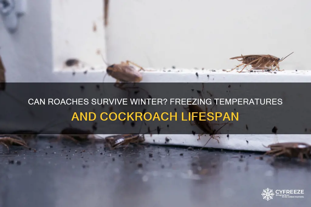 how long can roaches live in freezing temperatures