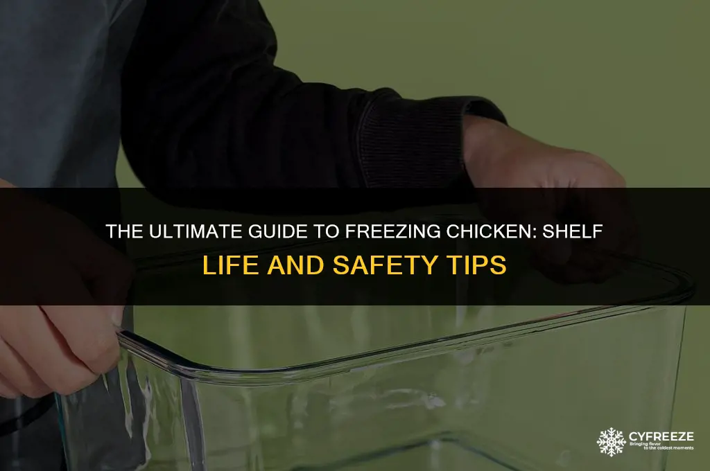 how long can sealed chicken stay in the freezer