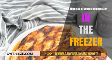 Smart Storage: Maximizing the Shelf Life of Seasoned Chicken in the Freezer