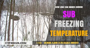 Surviving the Cold: Snakes' Remarkable Resilience in Sub-Freezing Temperatures