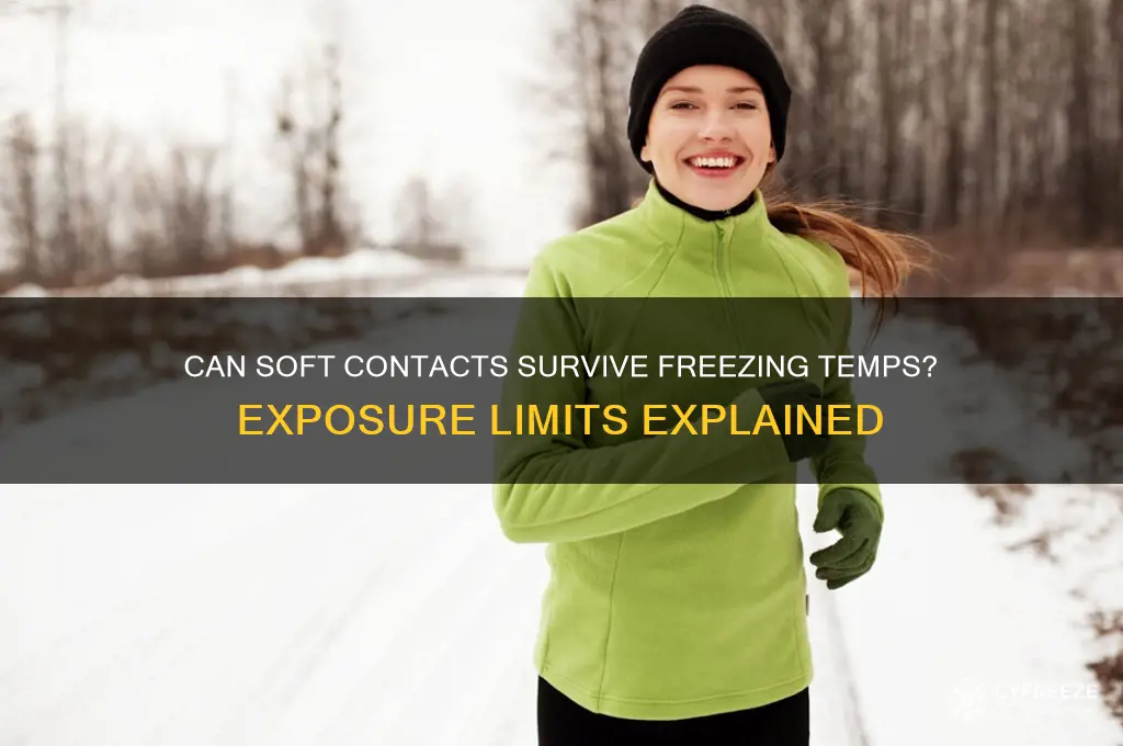 how long can soft contact be exposed to freezing temperatures