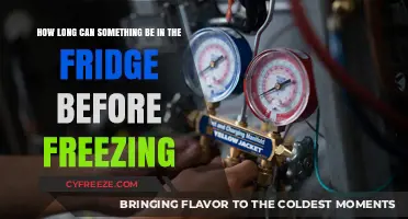 Chill or Freeze: Optimal Refrigeration Times for Food Safety