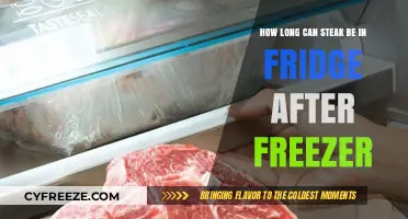 Safe Storage: How Long Can Steak Stay in the Fridge After Freezing?
