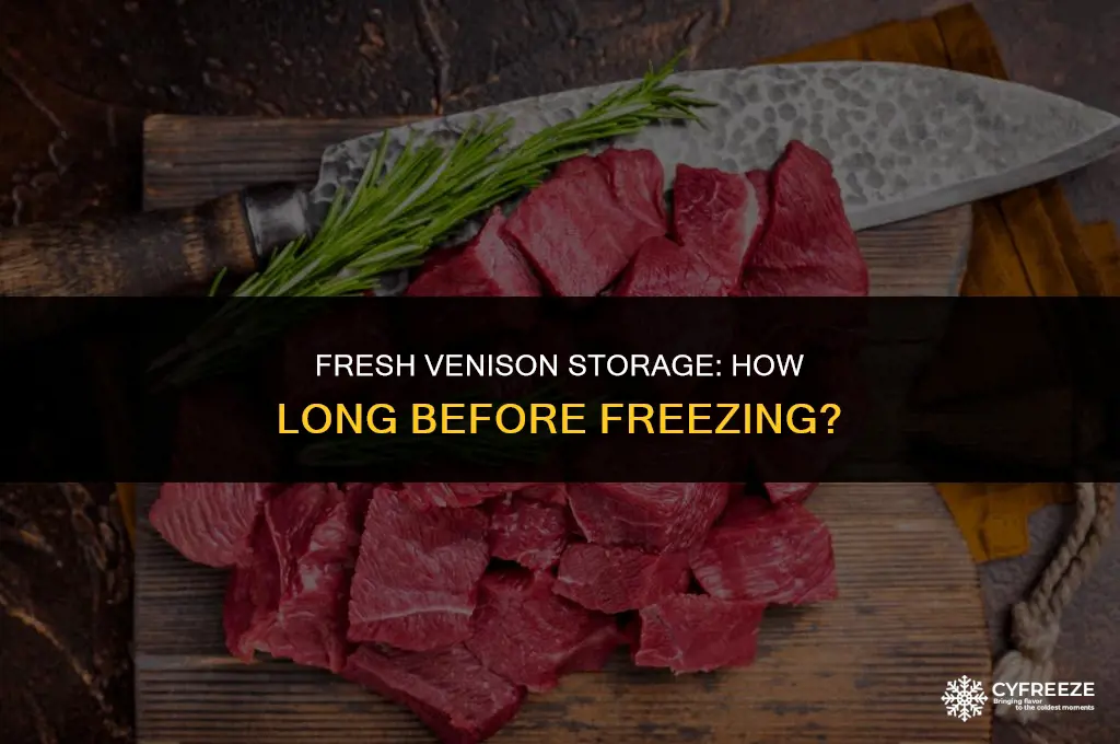 how long can venison stay in fridge before freezing