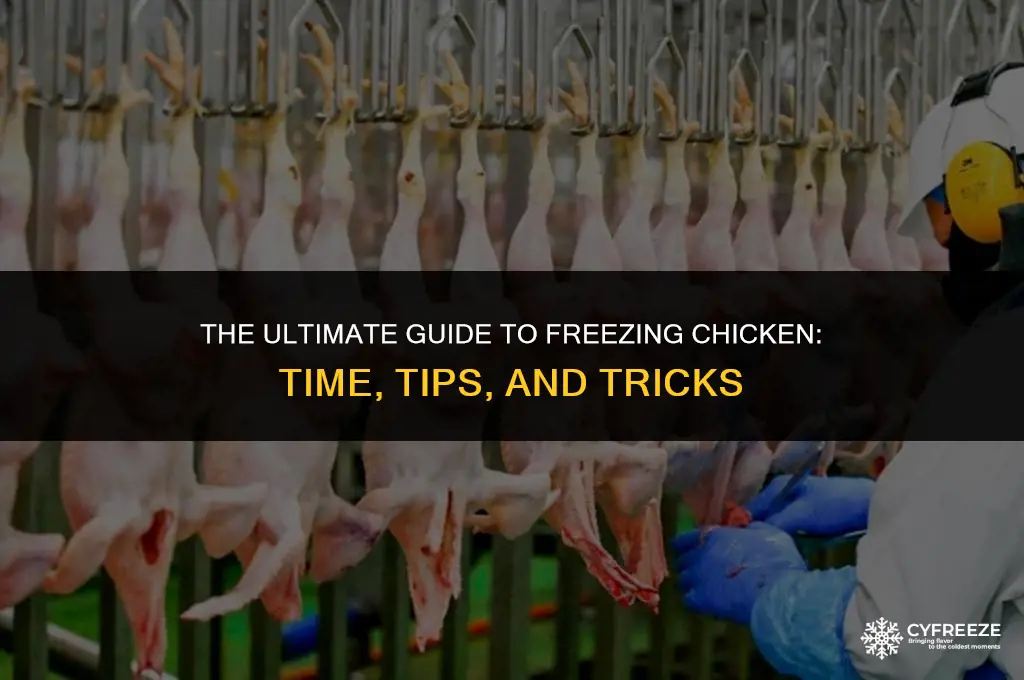 how long can yiu freeze chicken