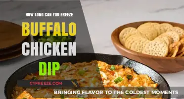 The Ultimate Guide to Freezing Buffalo Chicken Dip