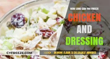 The Ultimate Guide to Freezing Chicken and Dressing Safely
