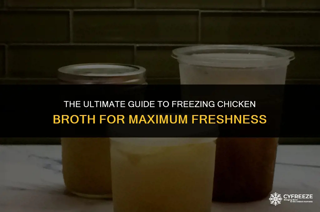 how long can you freeze chicken broth