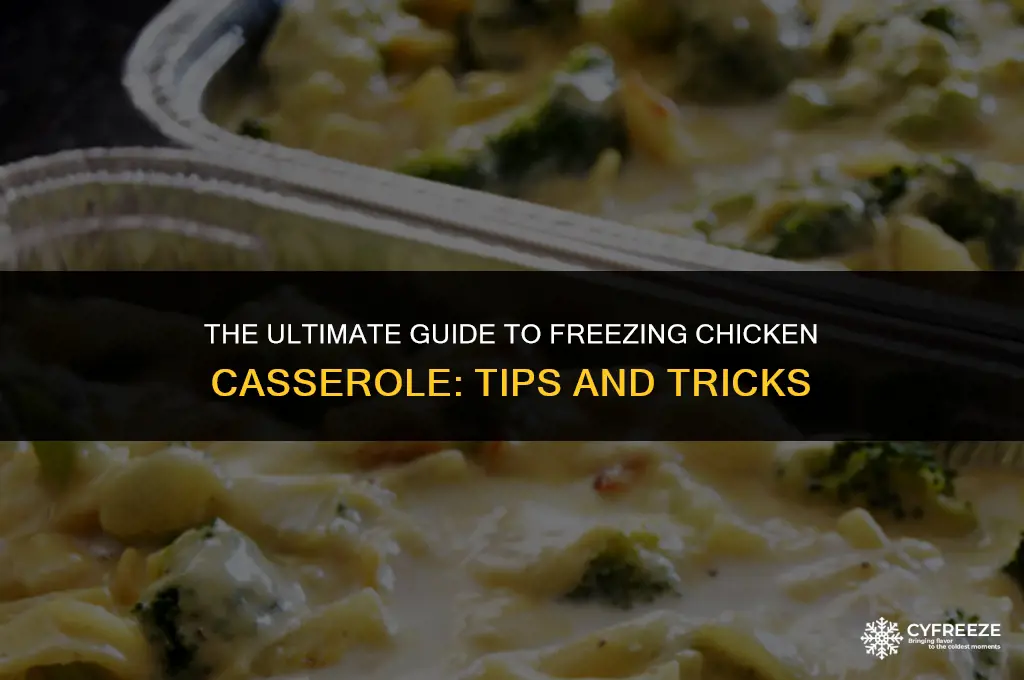 how long can you freeze chicken casserole