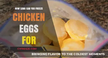 The Ultimate Guide to Freezing Chicken Eggs: Shelf Life and Safety Tips