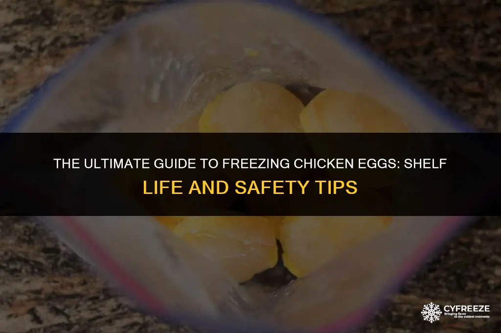 how long can you freeze chicken eggs for