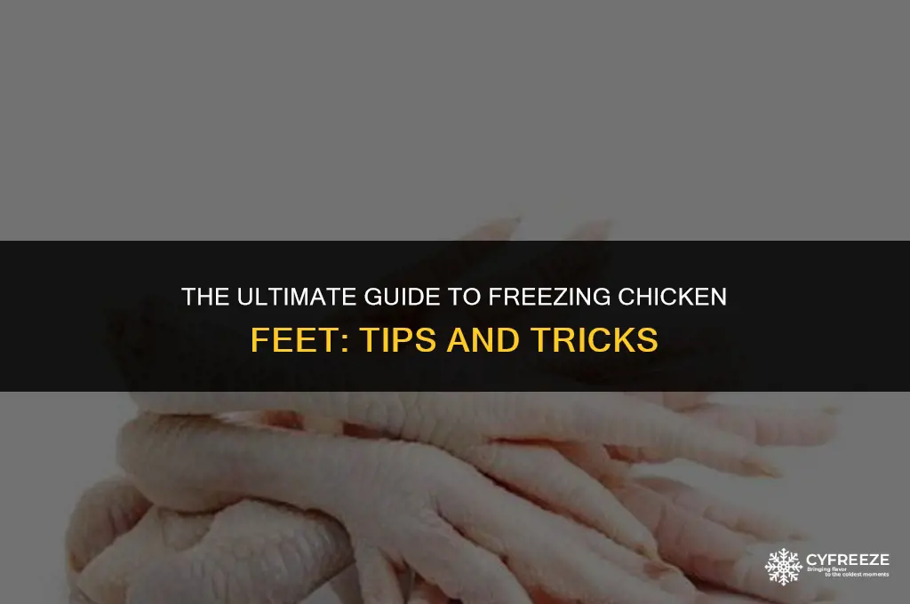 how long can you freeze chicken feet