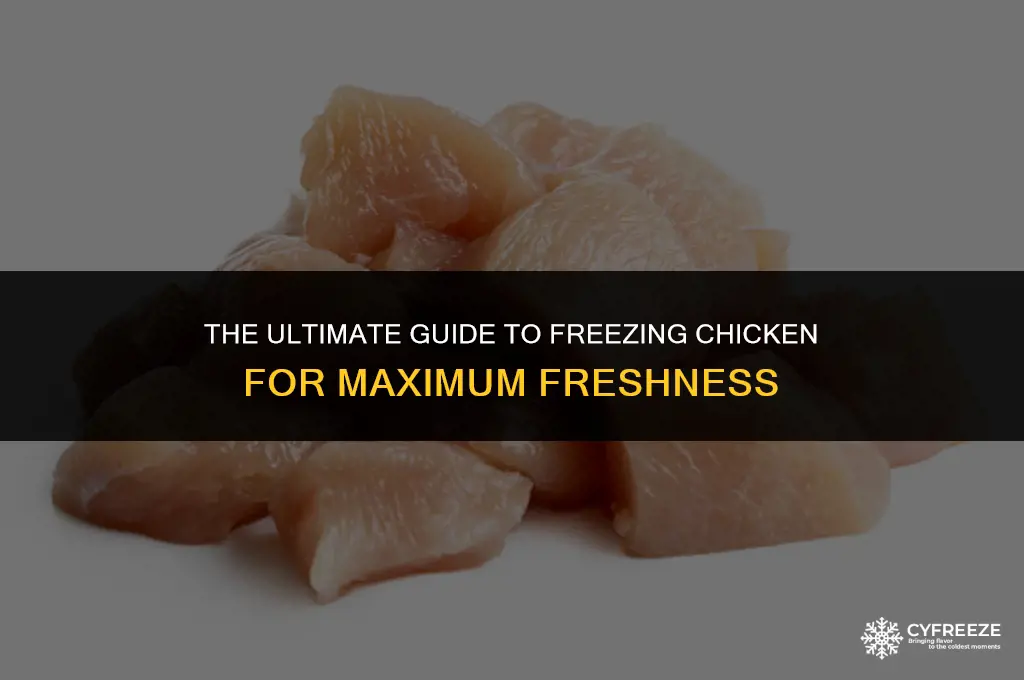 how long can you freeze chicken fort