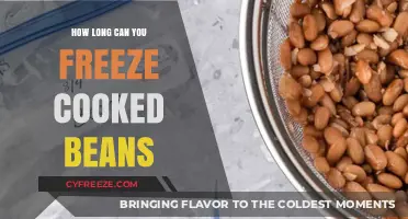 The Ultimate Guide to Freezing Cooked Beans for Maximum Freshness