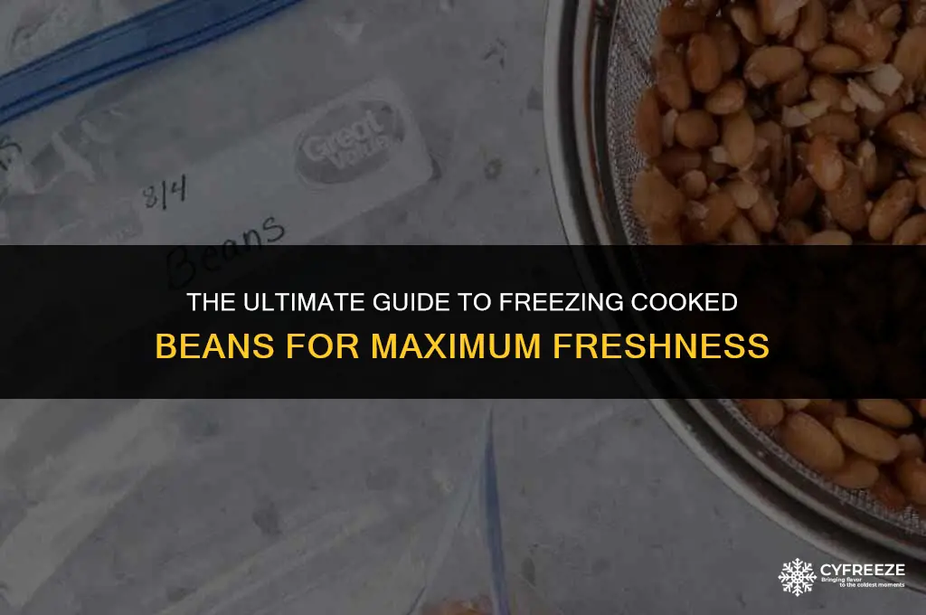 how long can you freeze cooked beans