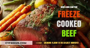 Preserving Flavor: The Ultimate Guide to Freezing Cooked Beef