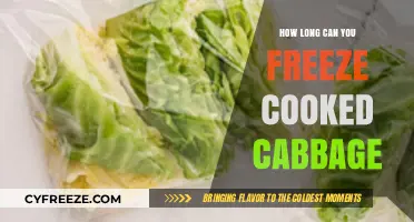 Preserving Cabbage: The Ultimate Guide to Freezing Cooked Cabbage