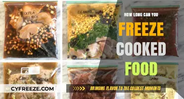 The Ultimate Guide to Freezing Cooked Food for Maximum Freshness