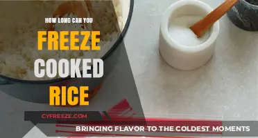 The Ultimate Guide to Freezing Cooked Rice: Tips and Tricks