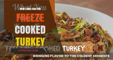 Maximizing Turkey Storage: A Guide to Freezing Cooked Turkey Safely