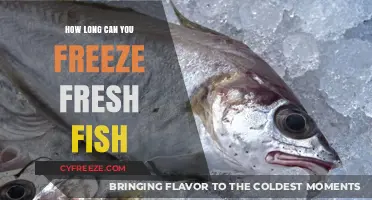 Fresh Fish Freezing Guide: Optimal Duration for Quality Preservation