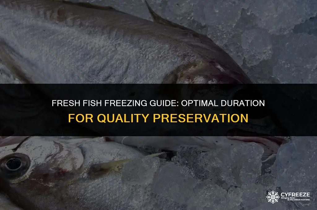 how long can you freeze fresh fish
