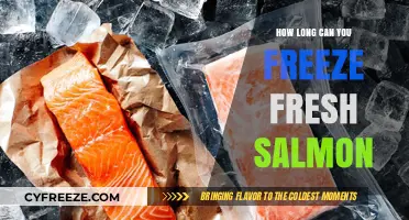 Fresh Salmon Freezing Guide: Optimal Duration and Tips