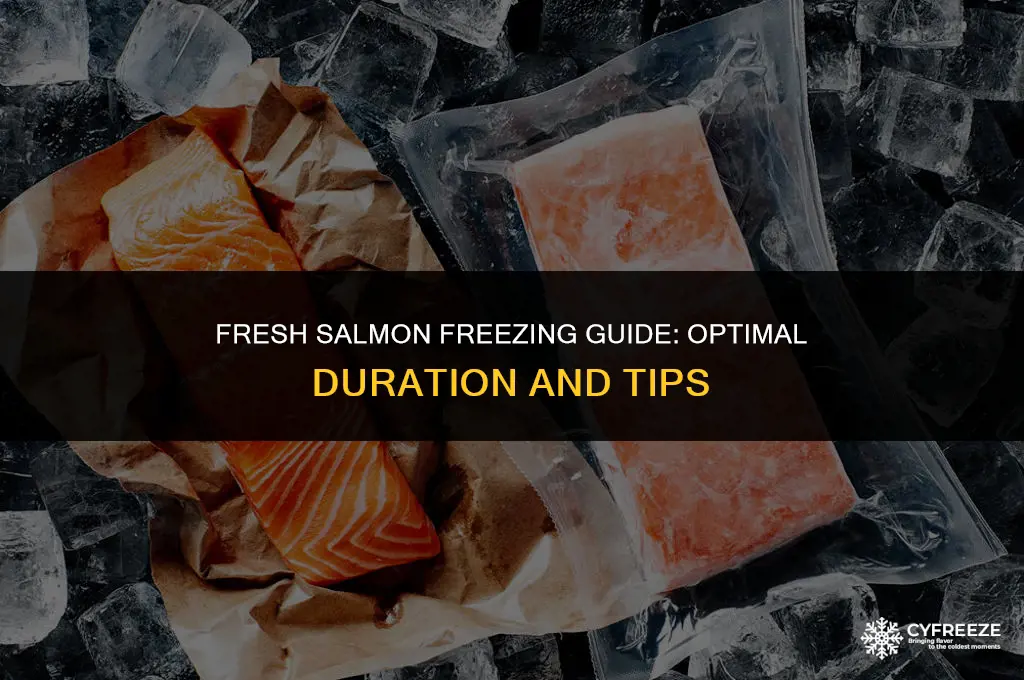 how long can you freeze fresh salmon