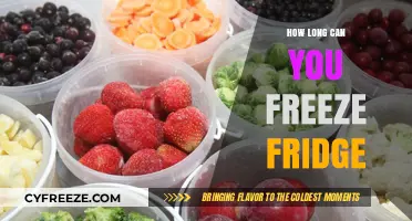 The Ultimate Guide to Freezing Food Safely and Efficiently