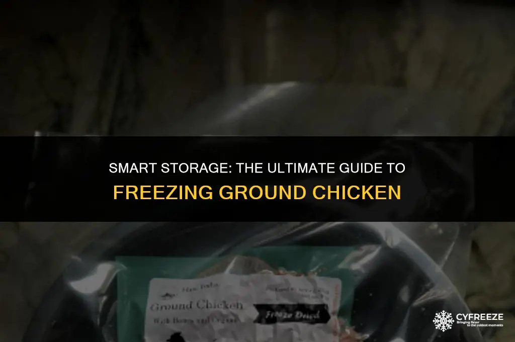 how long can you freeze ground chicken