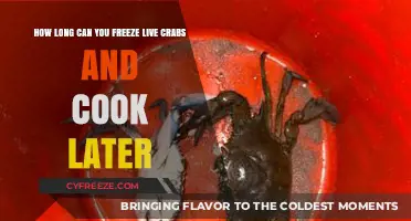 Savor the Freshness: Freezing Live Crabs for Later Cooking