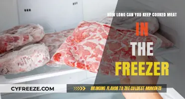 Smart Storage: Maximizing the Shelf Life of Cooked Meat in Your Freezer