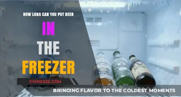 Chill or Spill: The Ultimate Guide to Freezing Beer