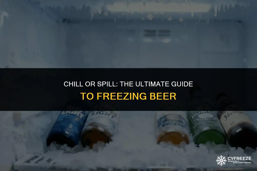 how long can you put beer in the freezer