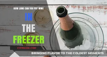 Chill or Freeze: The Ultimate Guide to Storing Wine