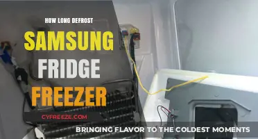 Efficient Defrosting: A Guide for Samsung Fridge Freezers