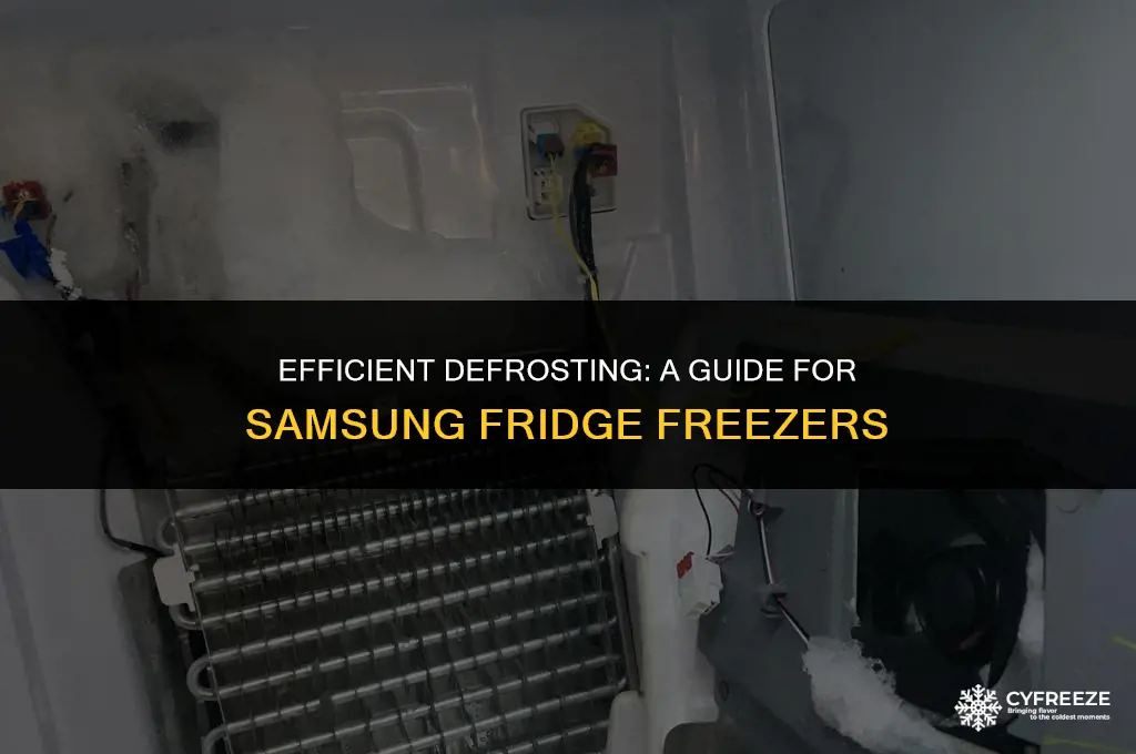 how long defrost samsung fridge freezer