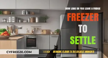 Optimal Settling Time for Your New Fridge Freezer: A Guide