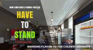 Understanding the Optimal Waiting Time for Your Fridge Freezer