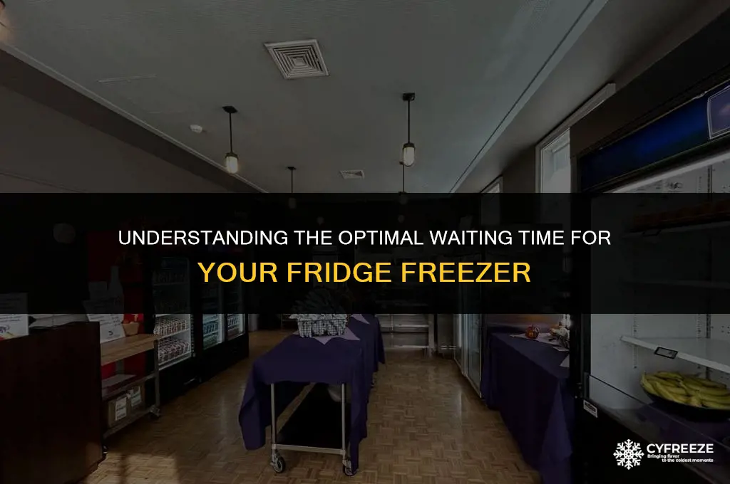 how long does a fridge freezer have to stand