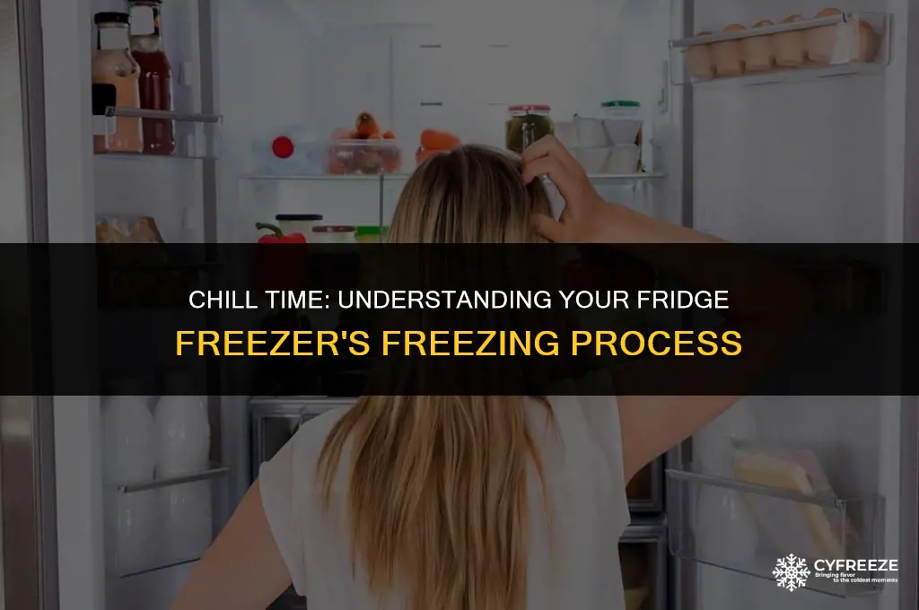 how long does a fridge freezer take to freeze